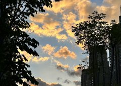 2025上半年，中國企業出海刷新全球副本：更猛、更強、更聰明